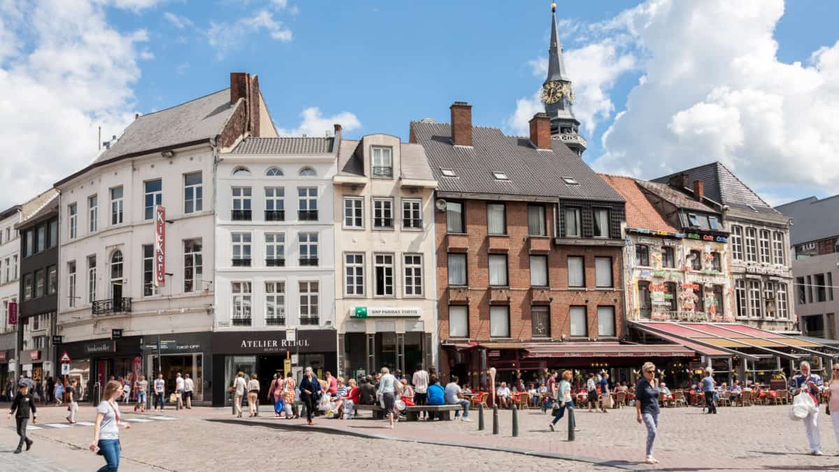 Bloesems in Haspengouw